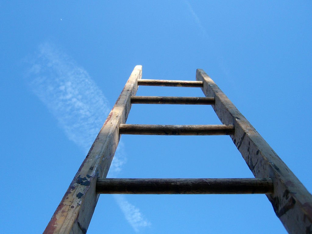 ladder