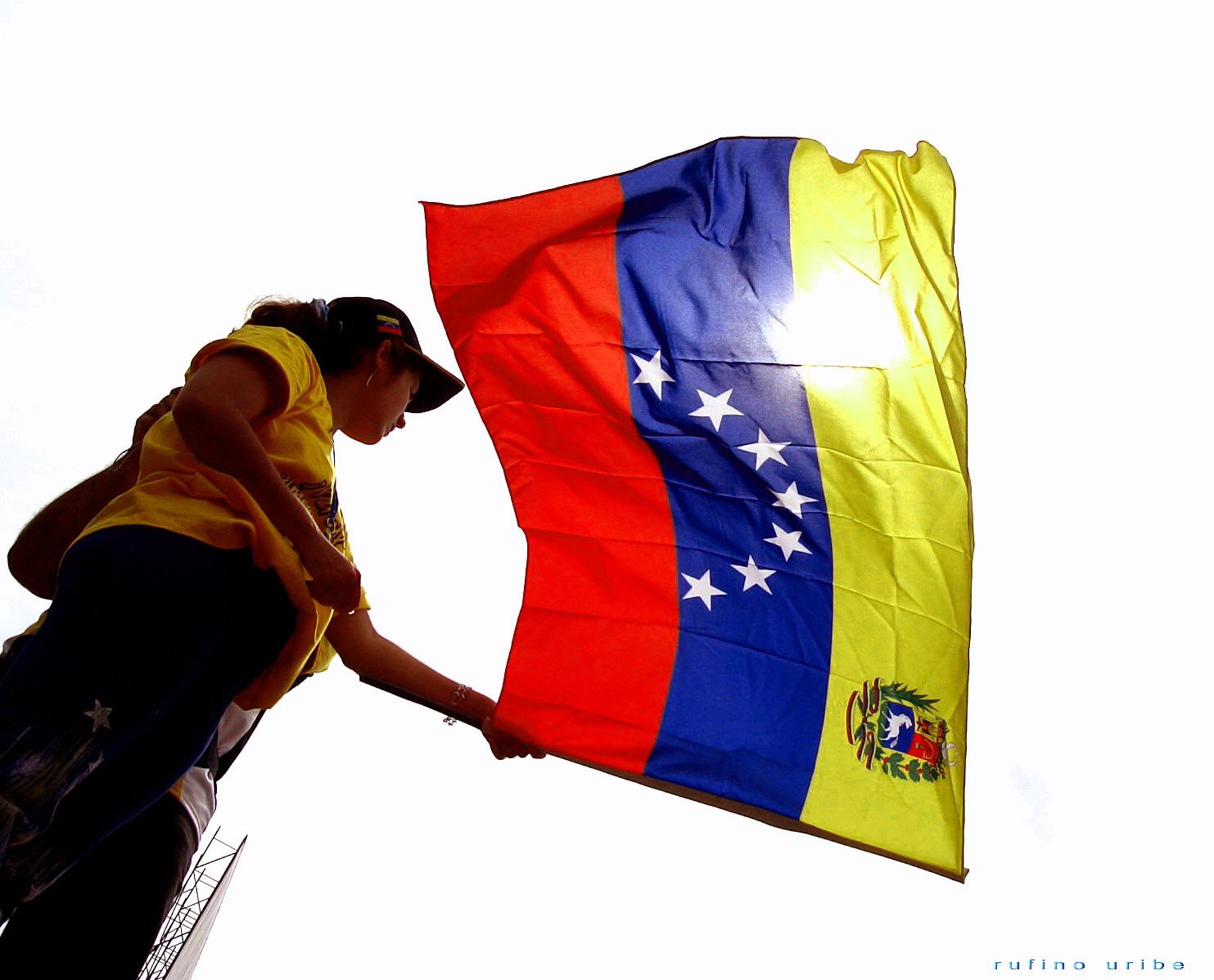 Venezuelan Flag