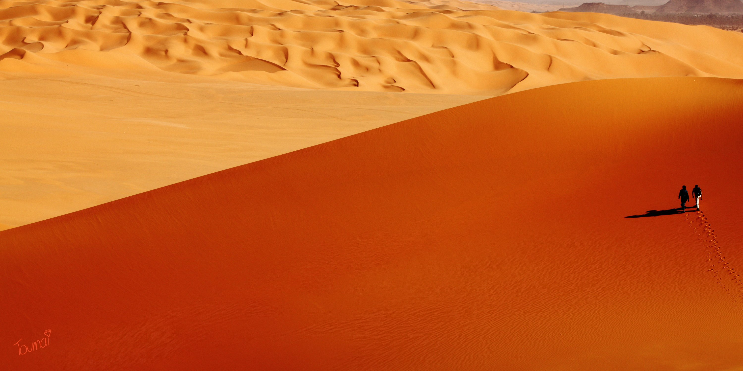 Sahara Desert
