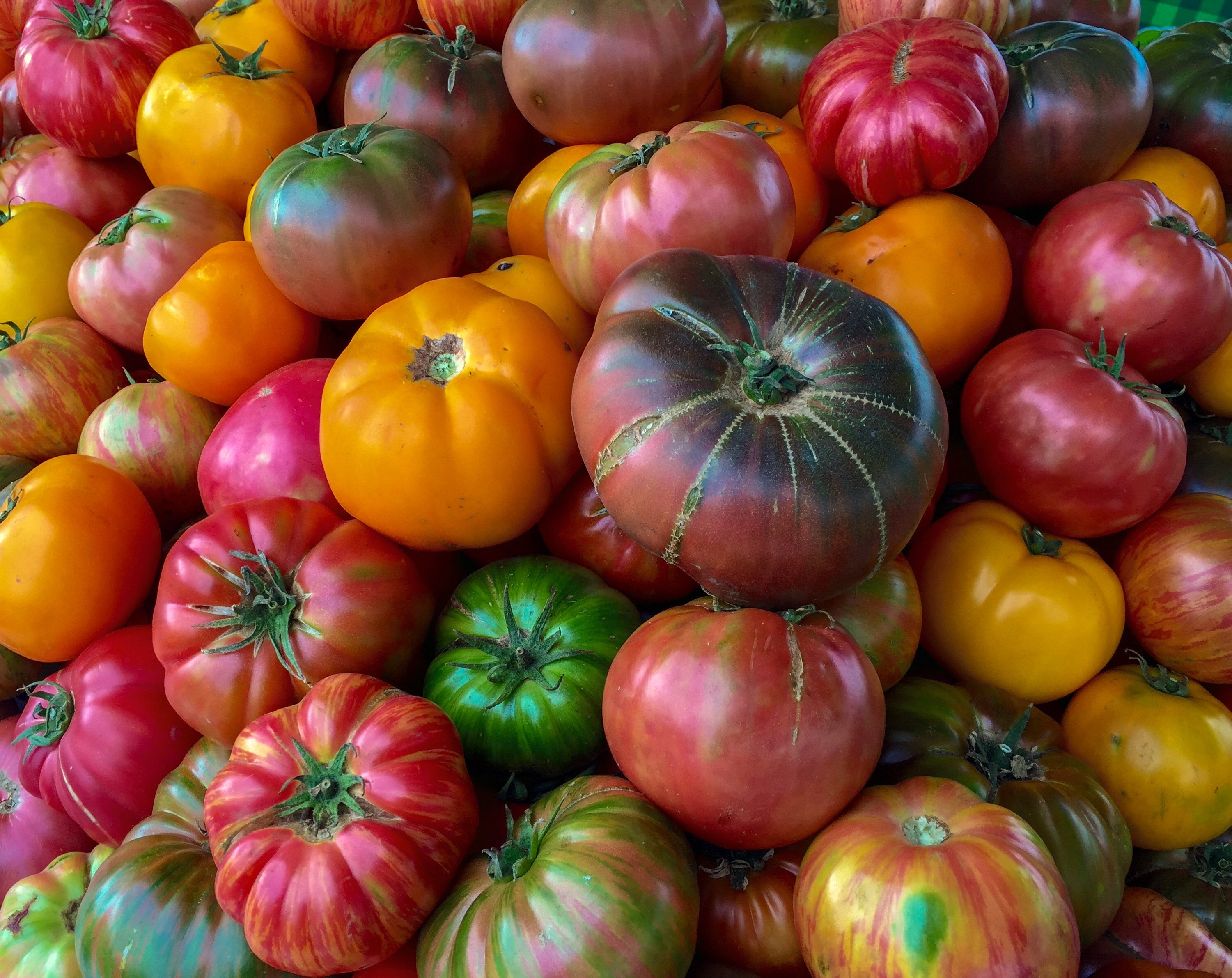 Tomatoes at Farmer's Market in California
