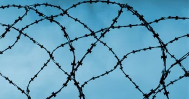 Excessive Punishment