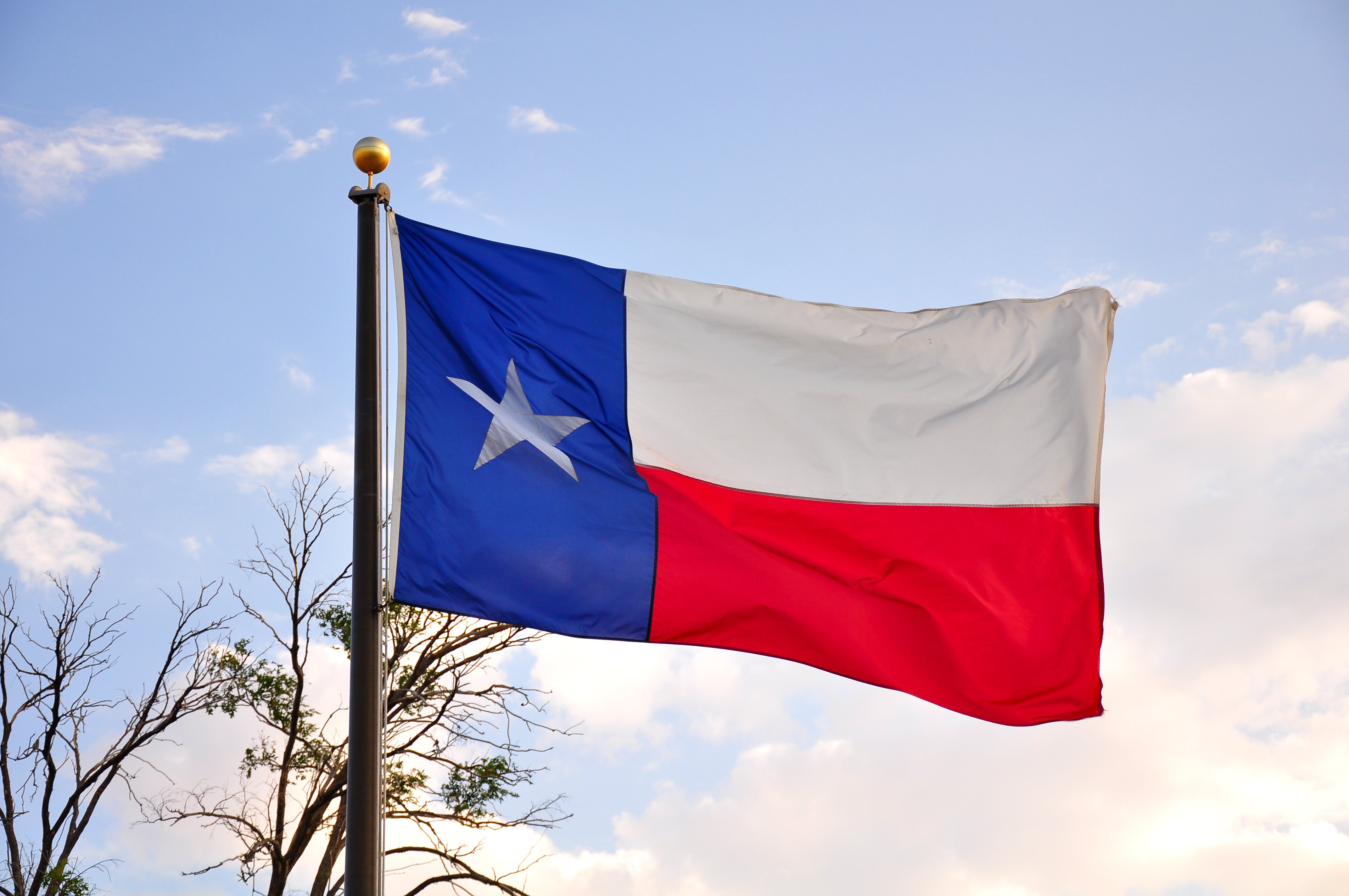Texas Flag