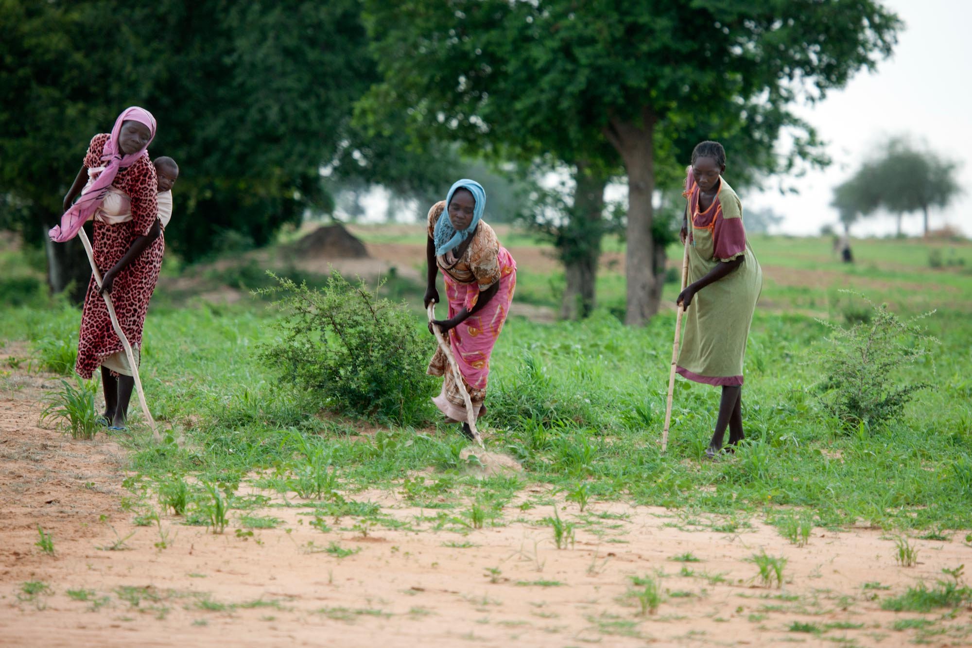 Sudanese women farming