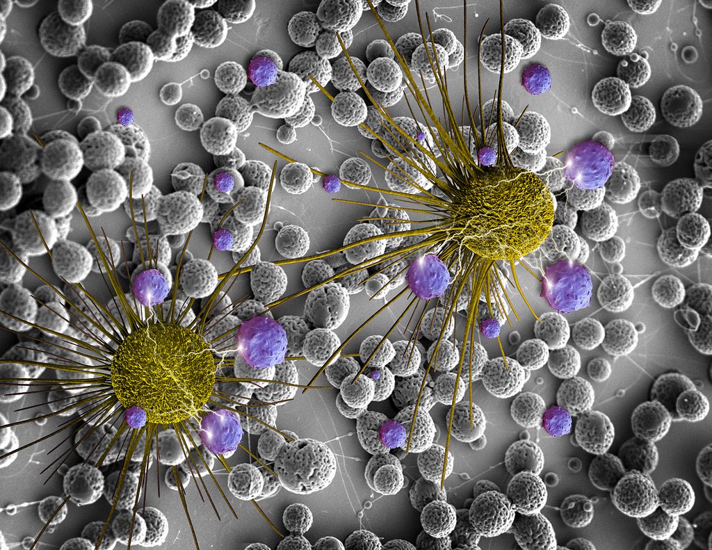 Future Tense Cancer Event Recap