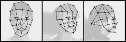 A Facial Recognition Illustration.jpg