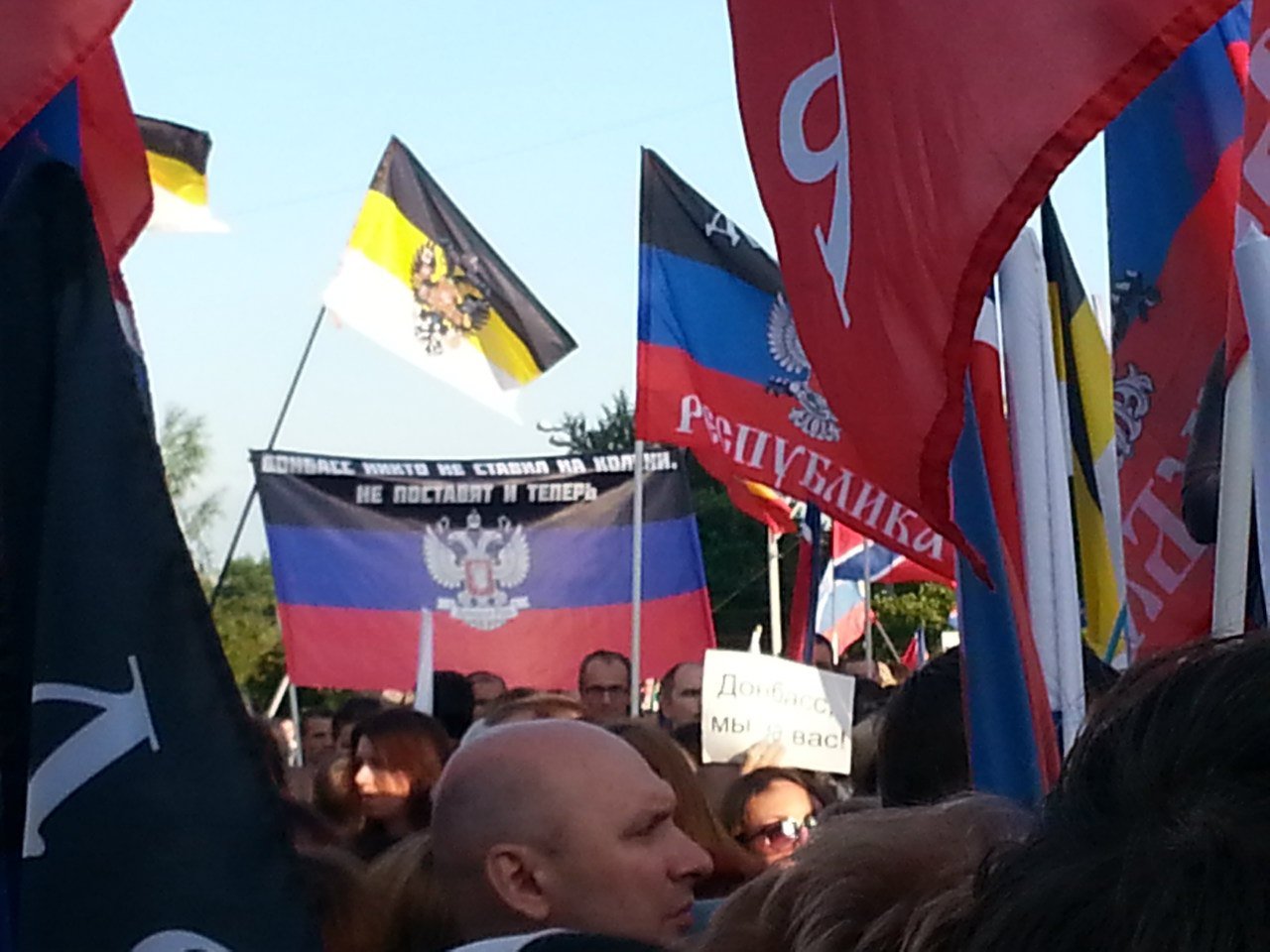 A_rally_in_support_of_Novorossiya_in_Moscow_on_June_11,_2014_(15).jpg
