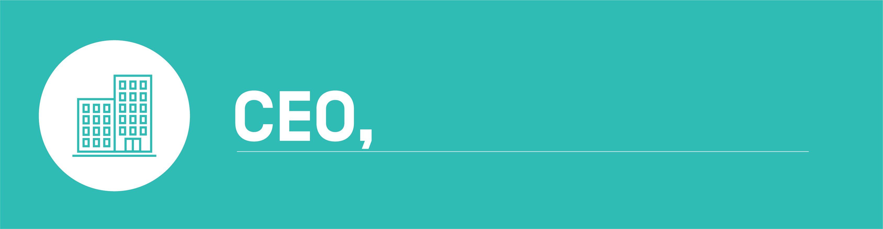 Algorithmic bias - CEO