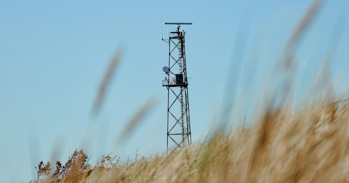 Cell Tower in Field