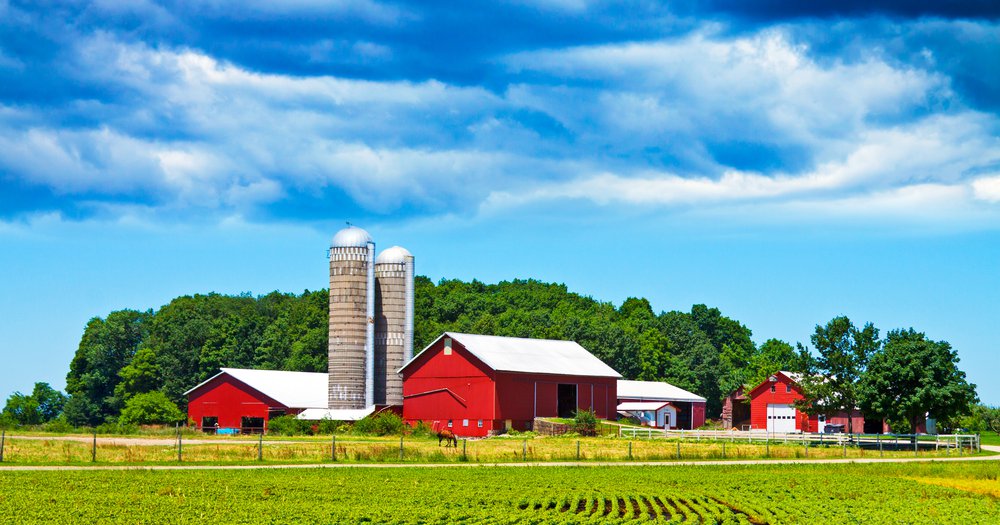 Consolidation Is Eating Our Food Economy_image.jpeg