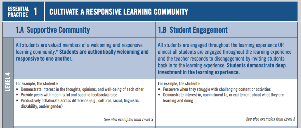 Excerpt from DCPS Grade 1–12 Rubric