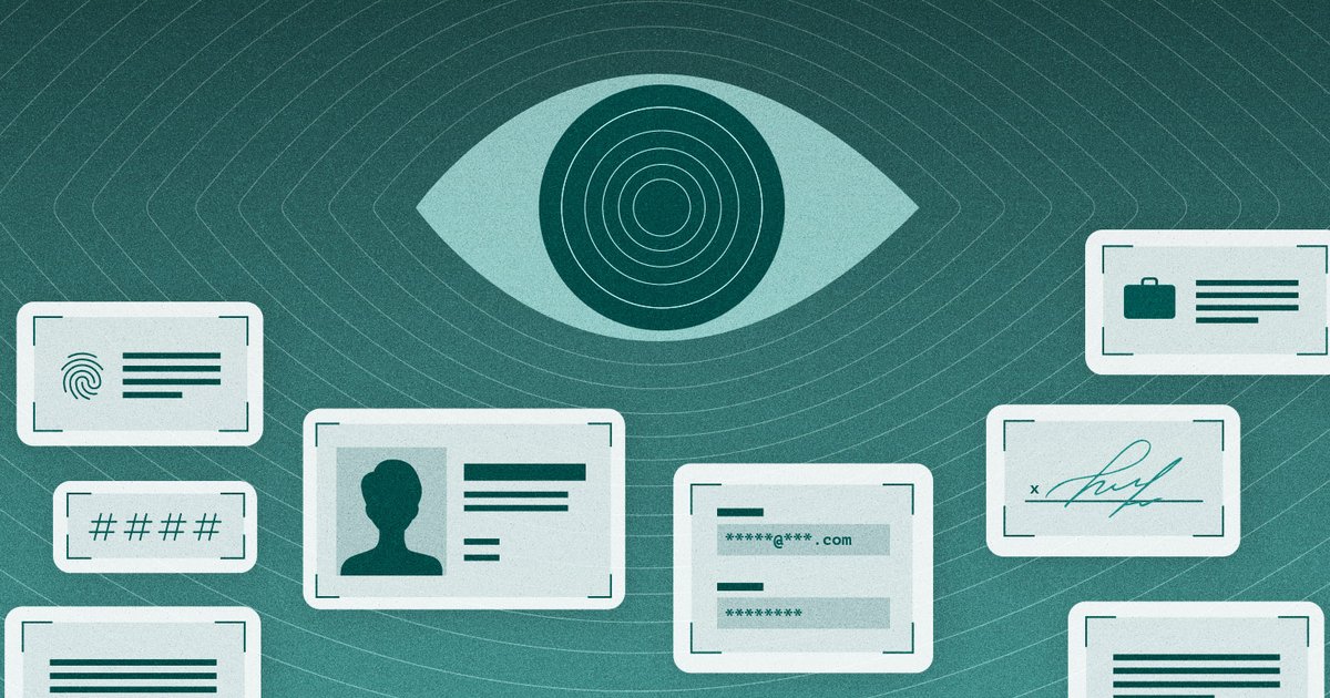 DOGE Data_Cover Image_Option 2