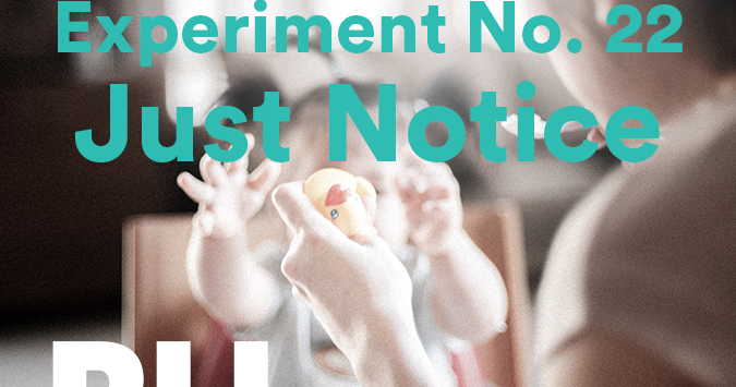 Experiment 22 just notice.png