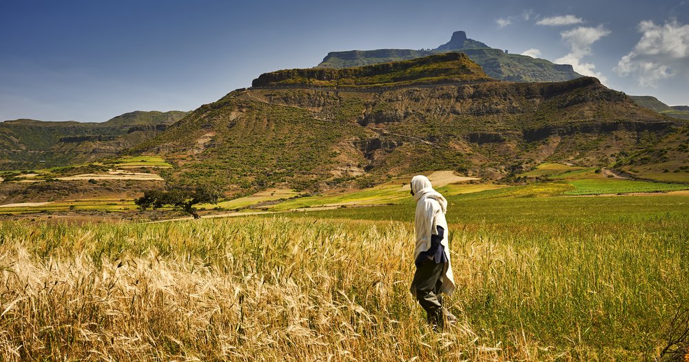 Ethiopia Farm