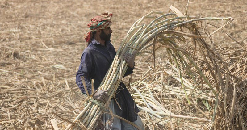 FPR - Punjab Diplomat Article.jpg