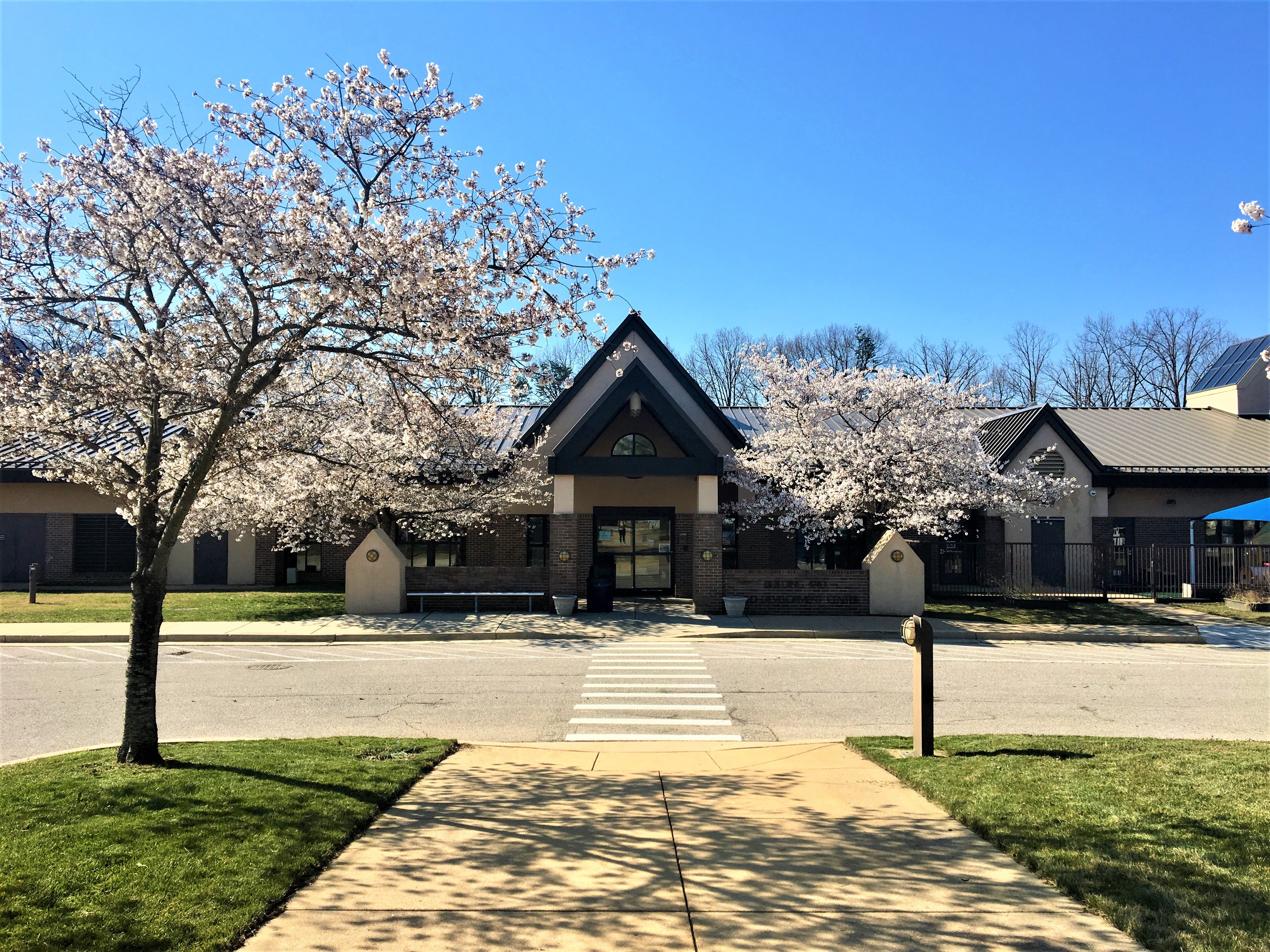 FullSizeRender (4).jpg