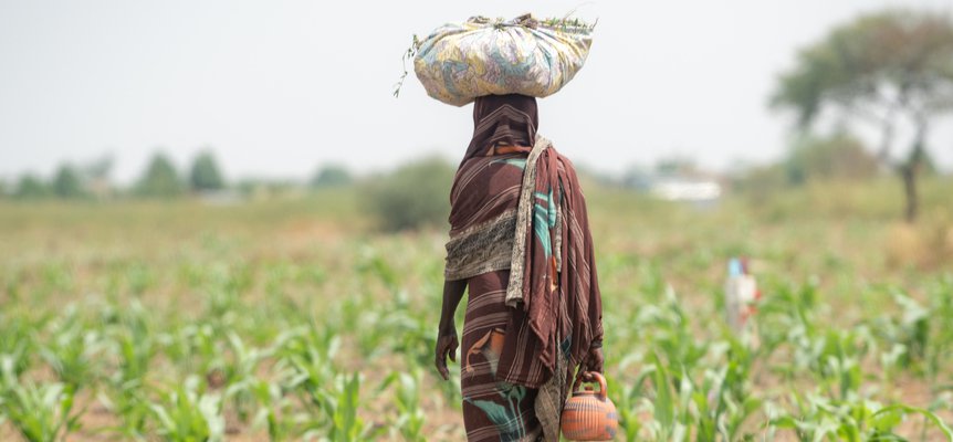 Future of Land at USAID.jpg