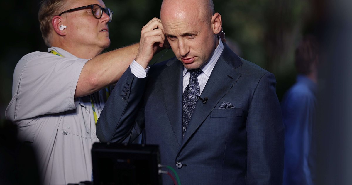 Stephen Miller for Greenberg