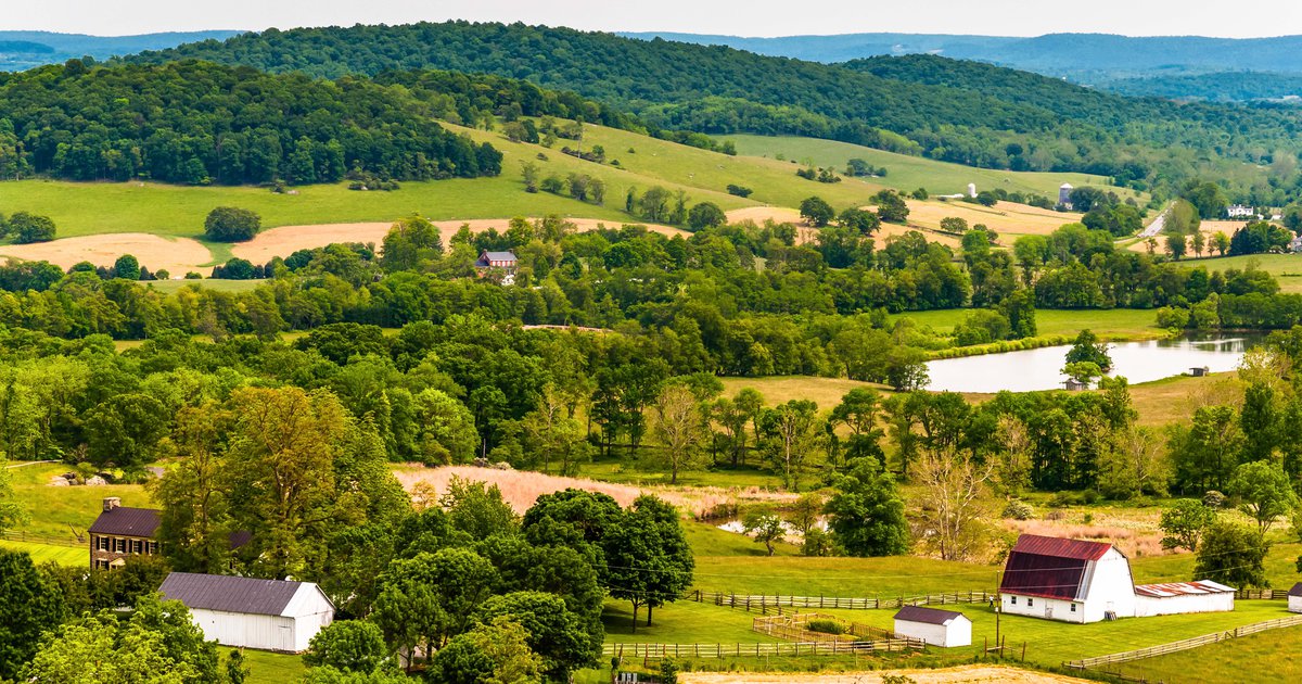 Harrisonburg Leads the Way for Dual Language Learners in Virginia