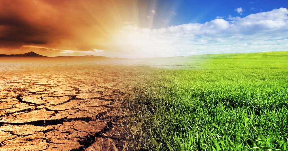 How a Hot Romance Between Evangelicals and Climate Activists Cooled_image.jpeg