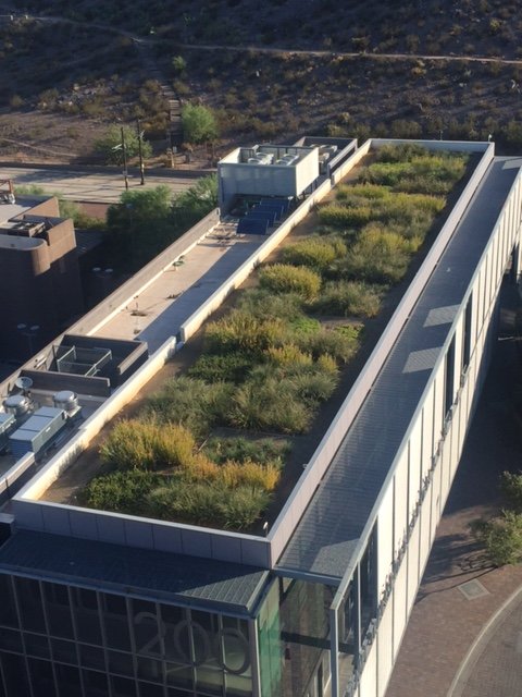 Green roofs at Arizona State