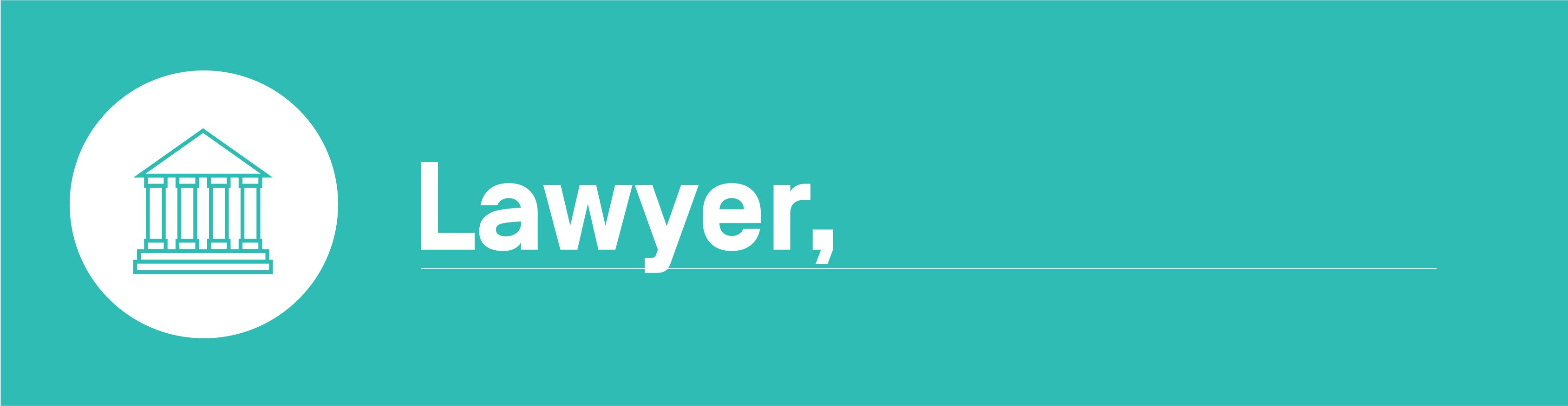 Algorithmic bias - lawyer