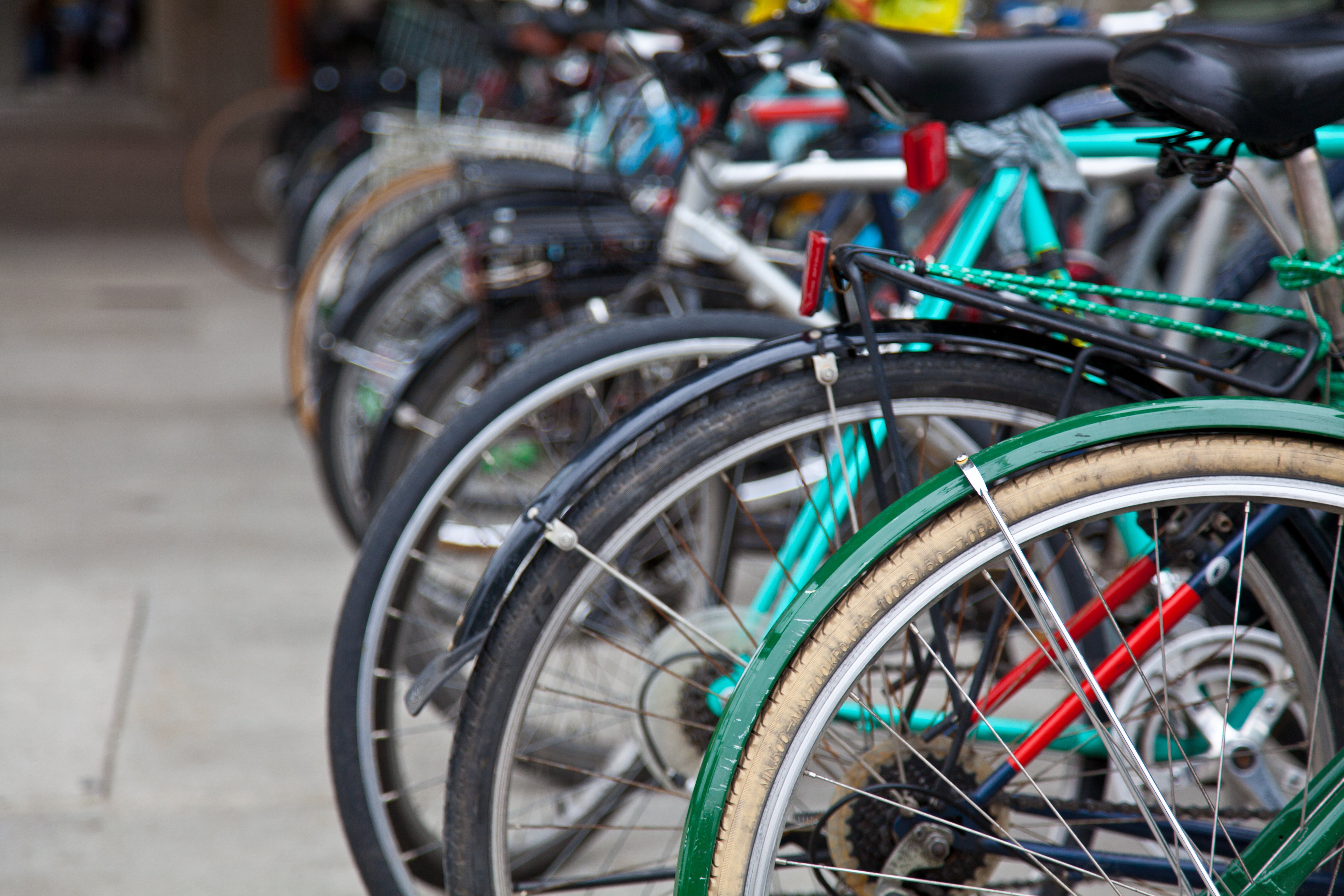 Let's Go for a Ride_image.jpeg