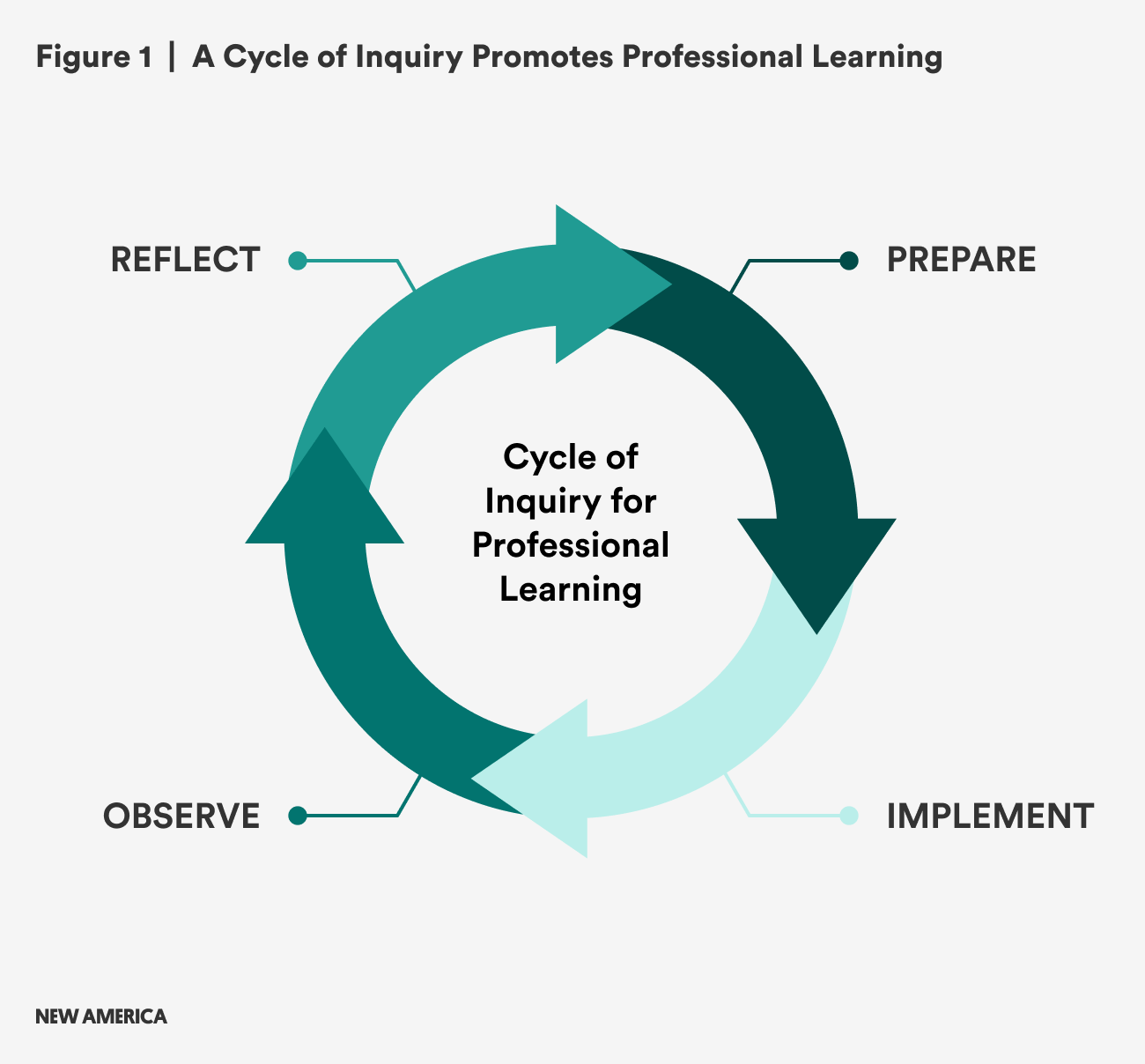 MC Life Cycle Figure (2)