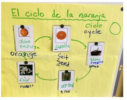 Source: Karen Beeman (email correspondence)