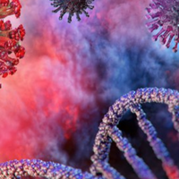 Screen Shot 2020-03-19 at 8.43.49 AM.png