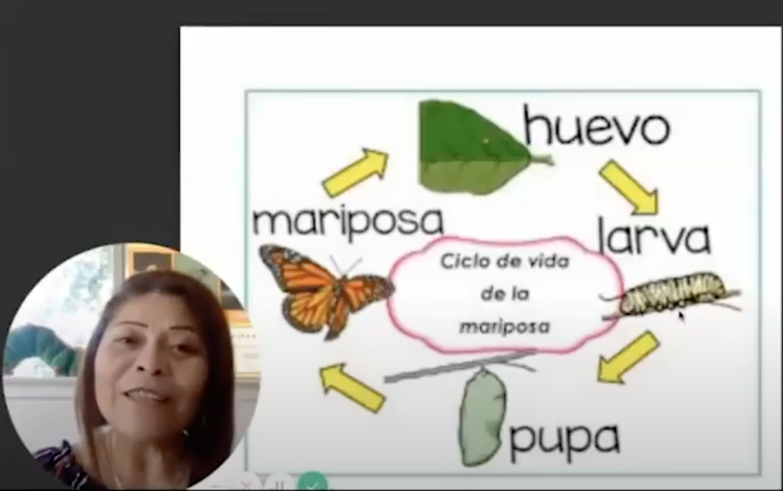 Screen Shot 2021-01-27 at 2.00.09 PM.png