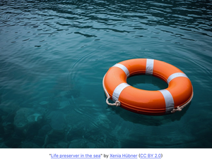 Orange life preserver adrift on a body of water