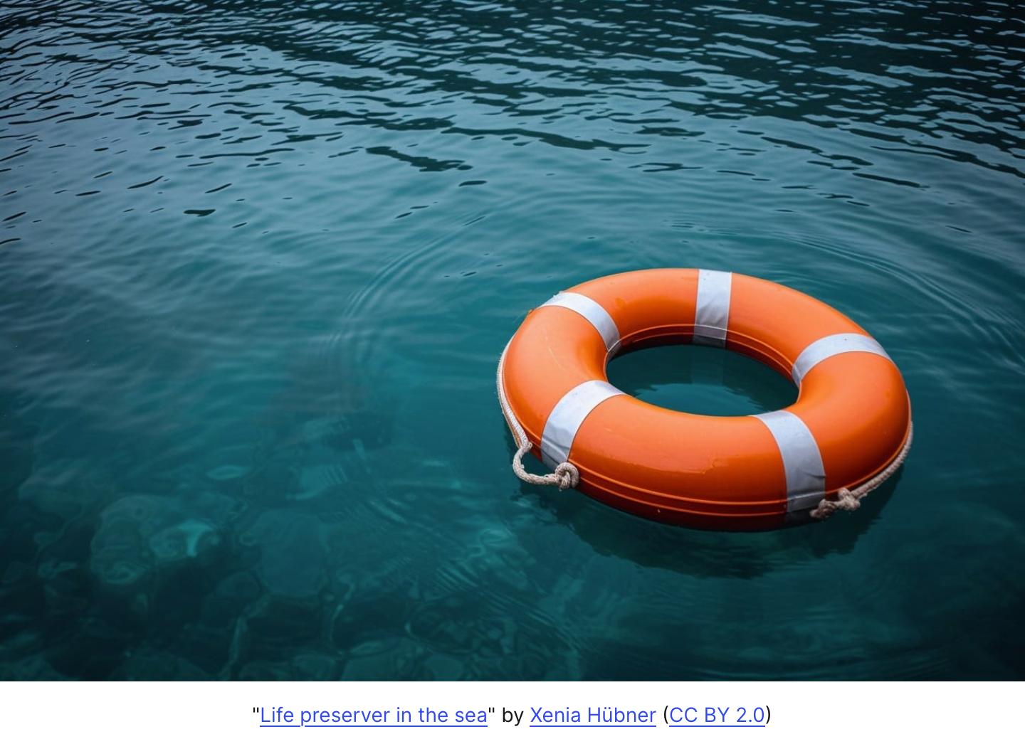 Keep our data afloat!