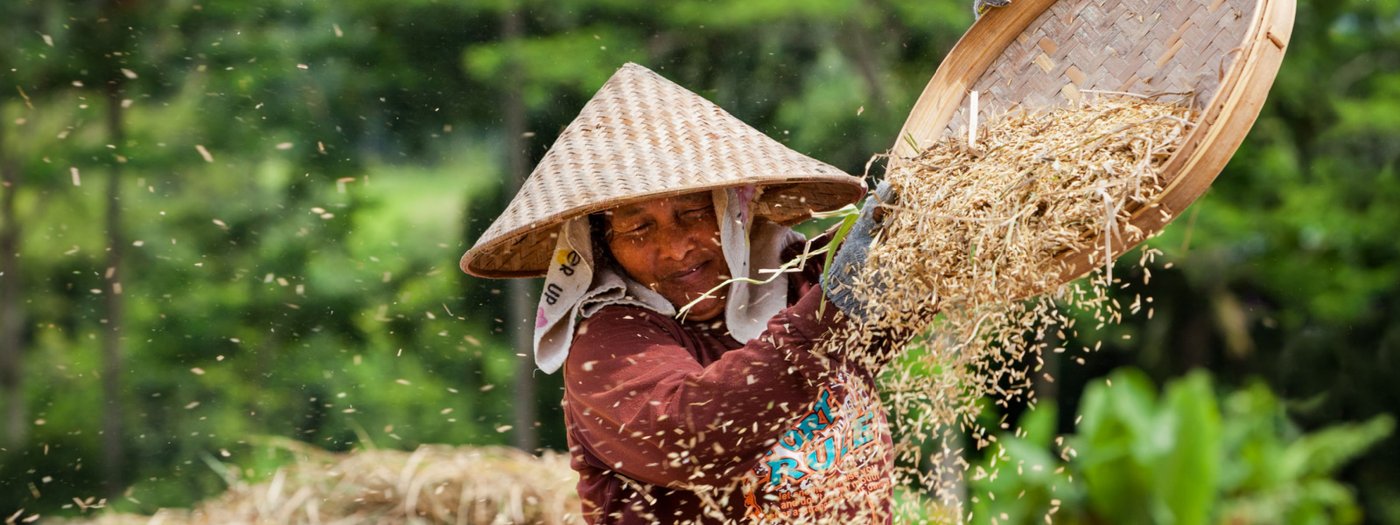 Shutterstock_1880176774