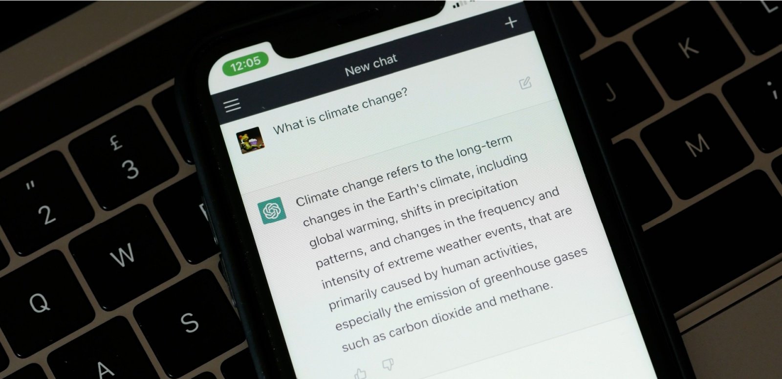 Shutterstock_2261965633 (1)