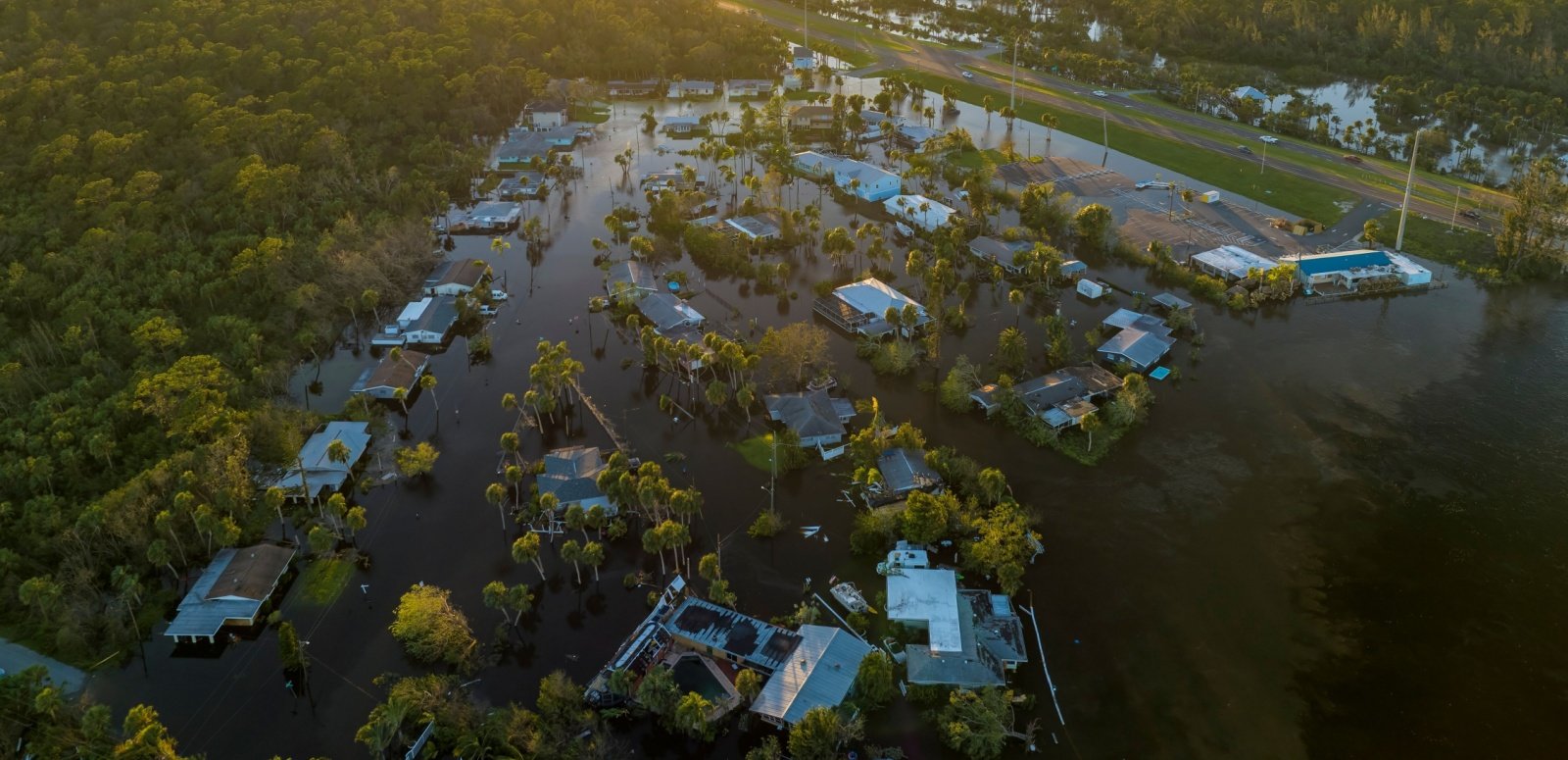 Shutterstock_2355455027