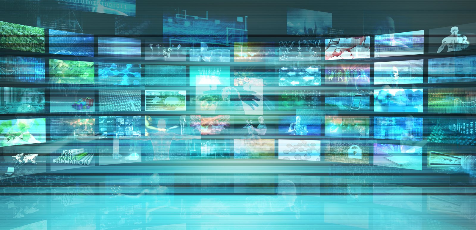 Sinclair Issue Brief