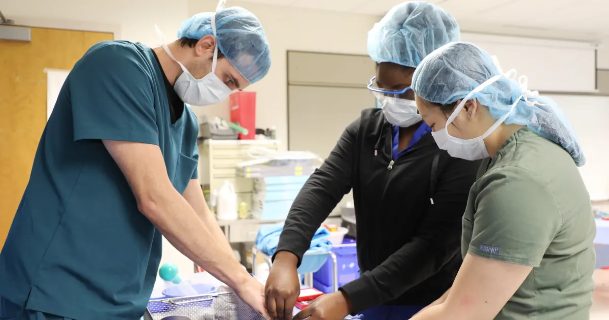 Shalin- Workshift article