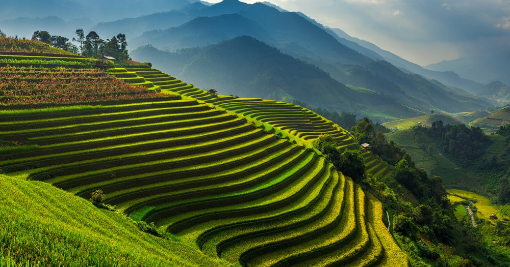 Tim Robustelli - Reuters In the News Photograph (3.27.18).jpg