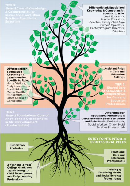 Transforming What it Means to Teach Young Children, Birth Through Age 8