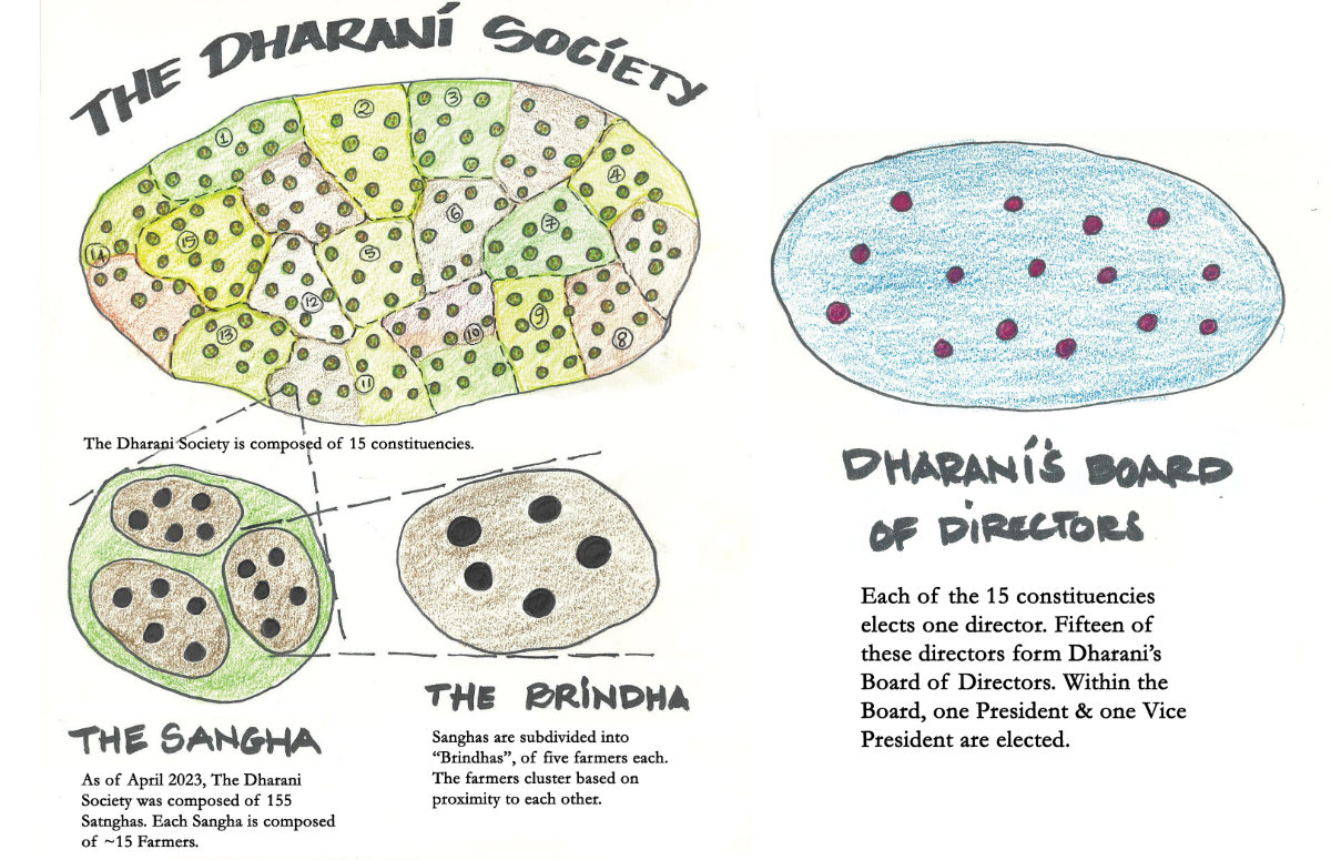 Structure of Dharani P1