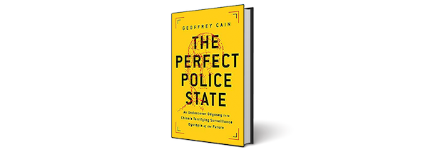 The Perfect Police State