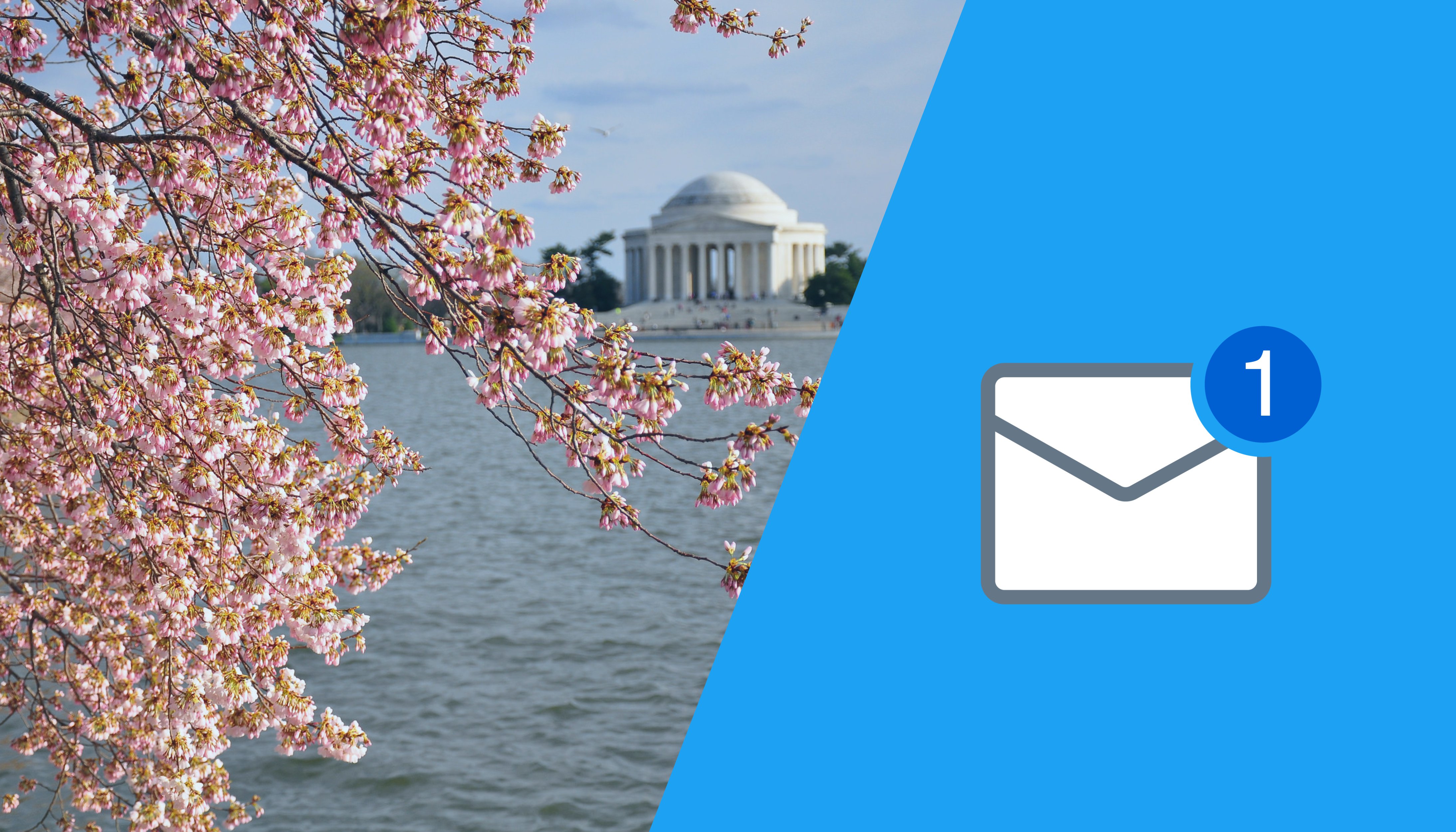 Cherry Blossom Header