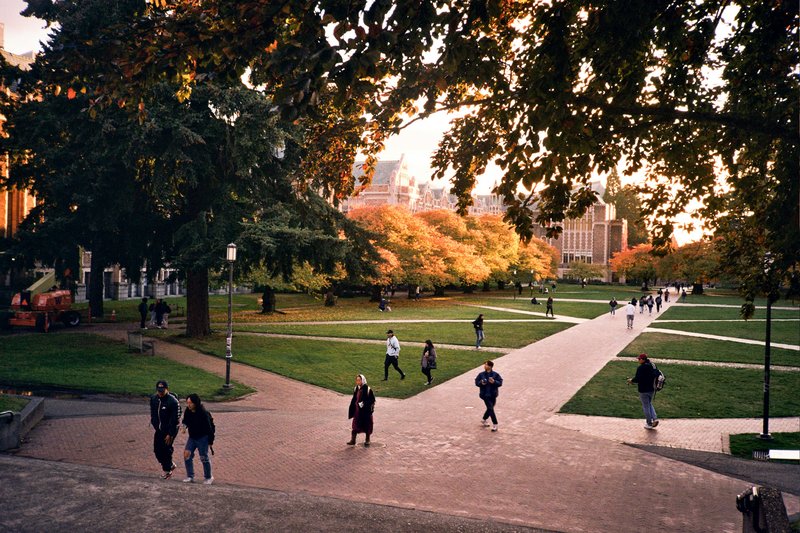 Students walk around a beautiful campus.