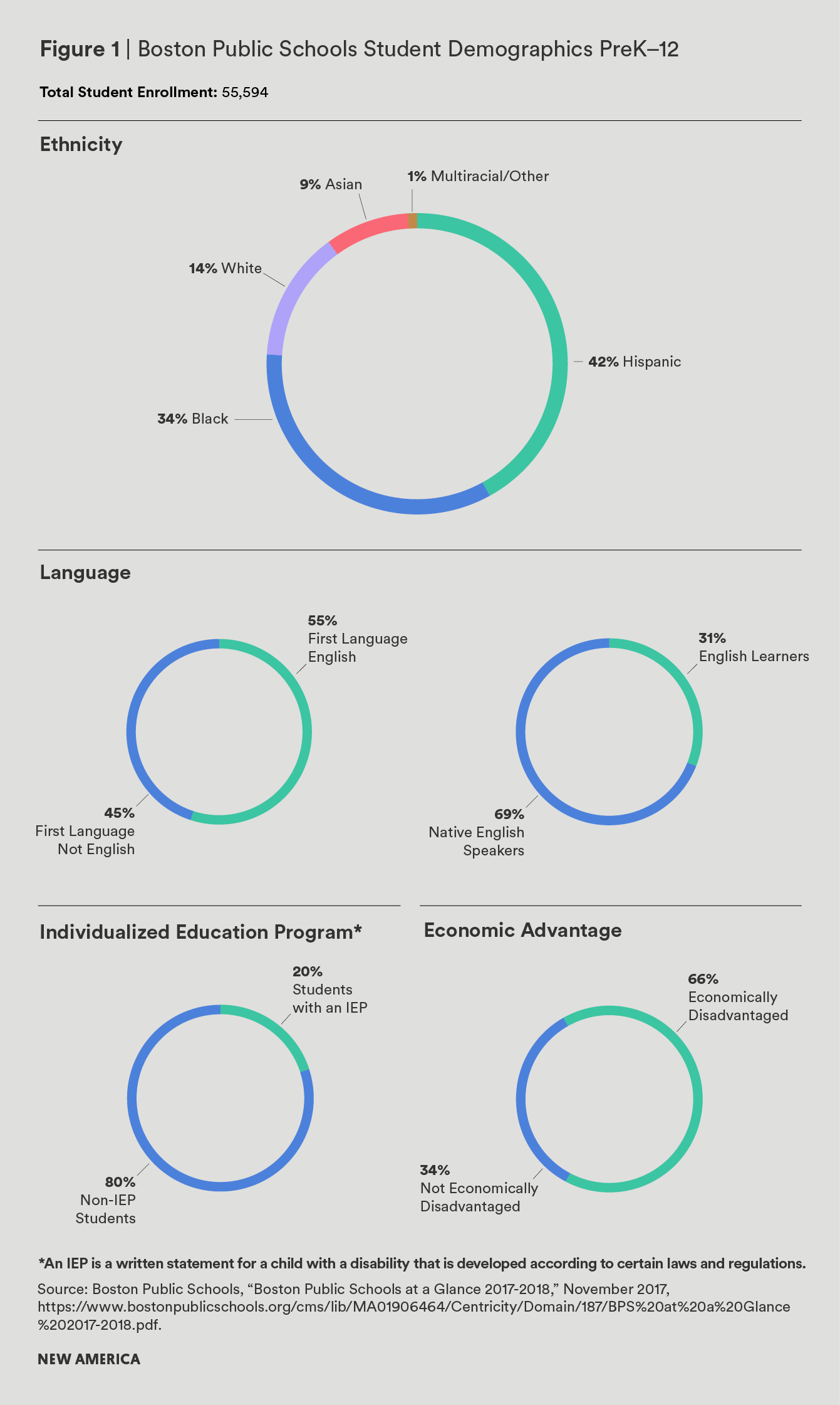 Boston report demographics