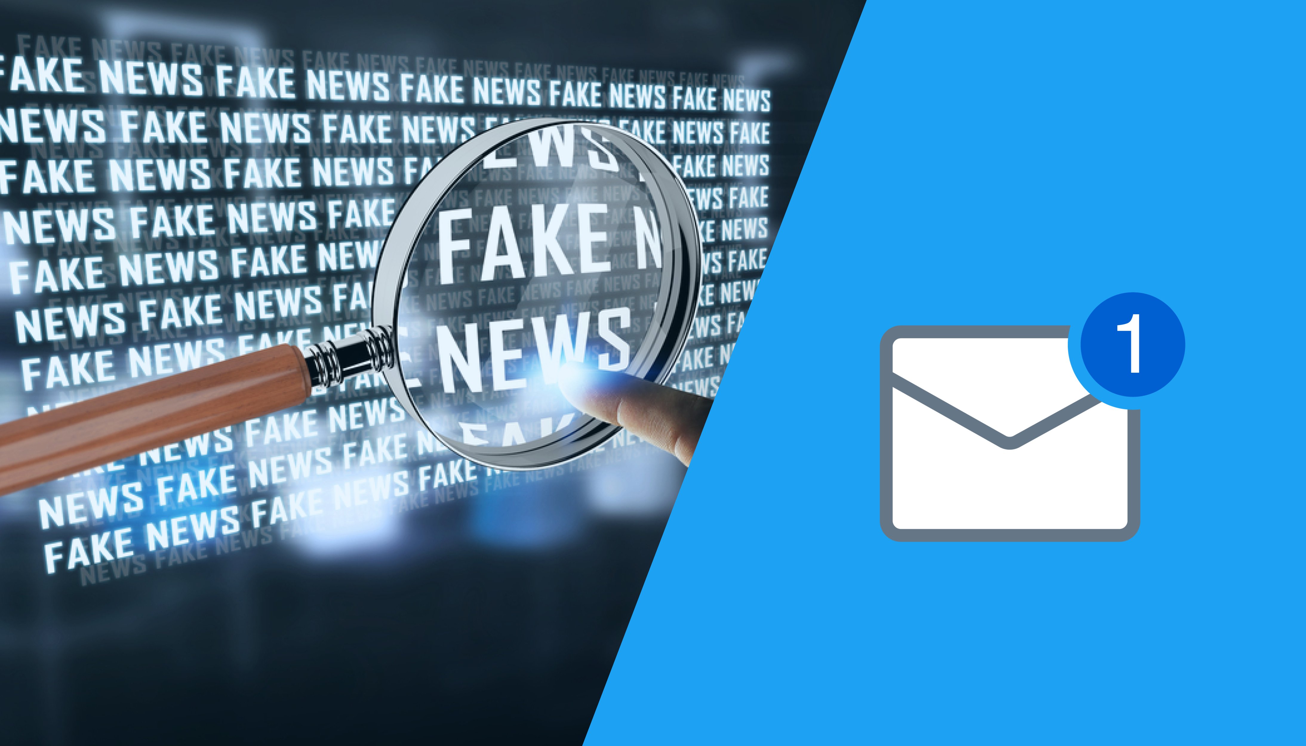 Fake News Header