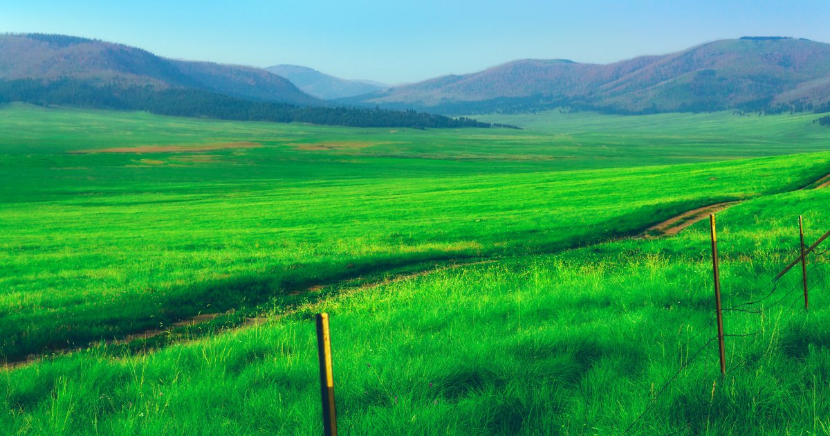 Valles Caldera, New Mexico, USA