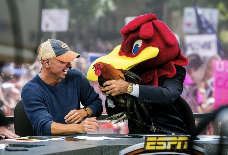 Lions, Tigers, Bears....