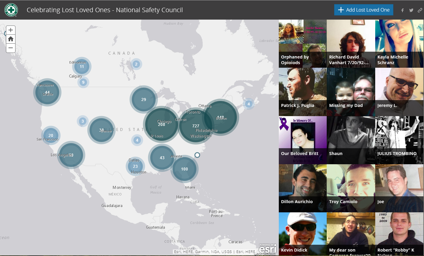 opioid lost loved ones