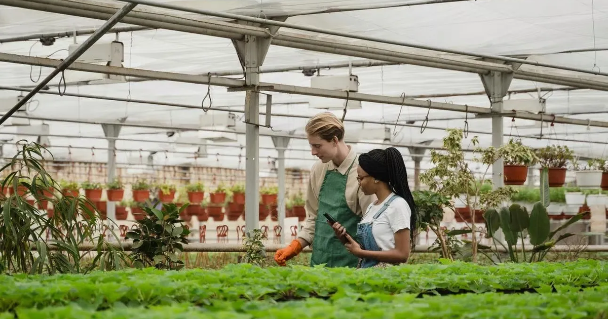 pexels-tima-miroshnichenko-6509142