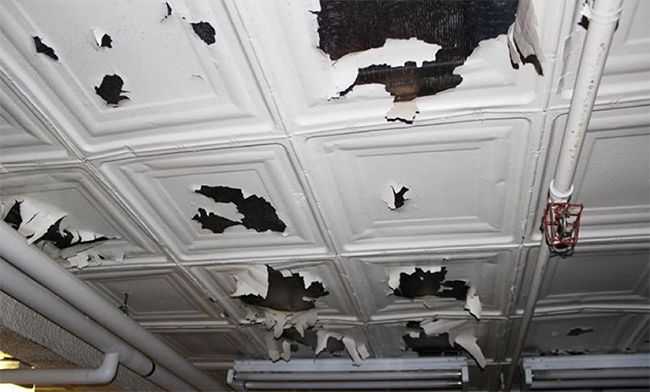 Vare Recreation Center.png